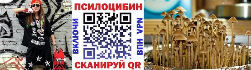 Псилоцибиновые грибы мицелий  Купить где  Рыбное 